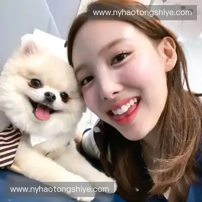 蒙圣桑